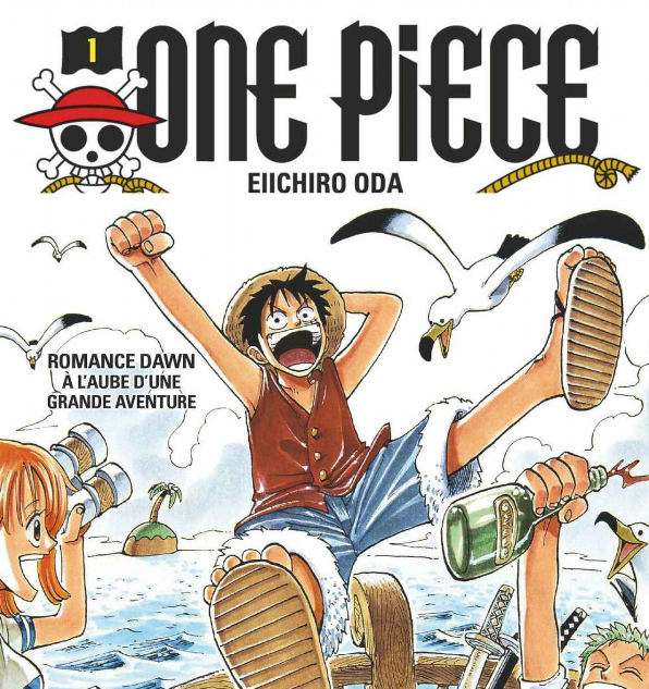Camp de vacances à Fribourg 2025 - Sur le thème One Piece